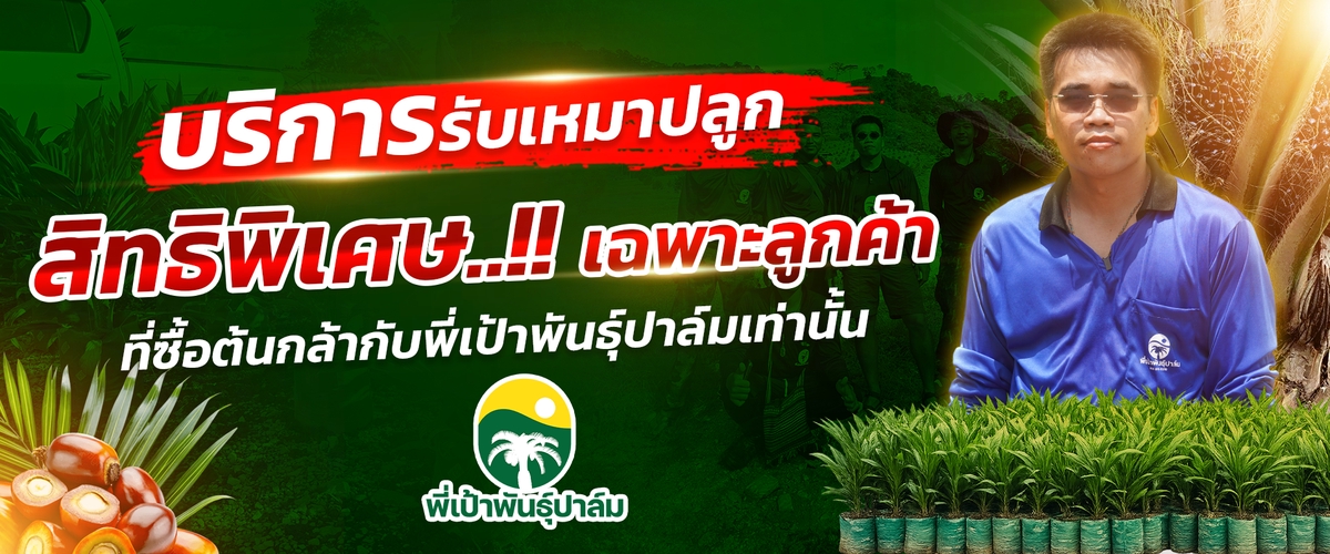 ติดต่อพี่เป้าพันธุ์ปาล์ม