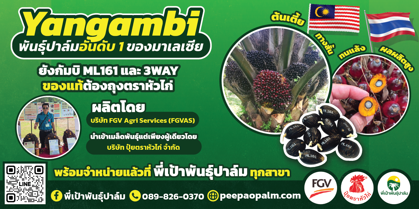 ข้อมูลพื้นฐานของร้าน