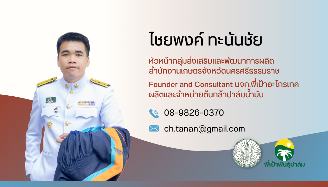 แปลงเพาะต้นกล้าปาล์ม พี่เป้าพันธุ์ปาล์ม